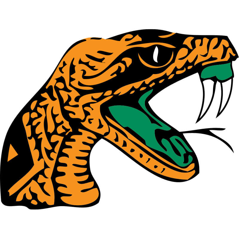 Featured image for “Florida A&M University”